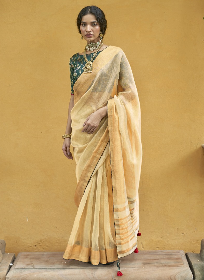 Buy Beige Chikankari Organza Saree For Women Online - Frontierraas